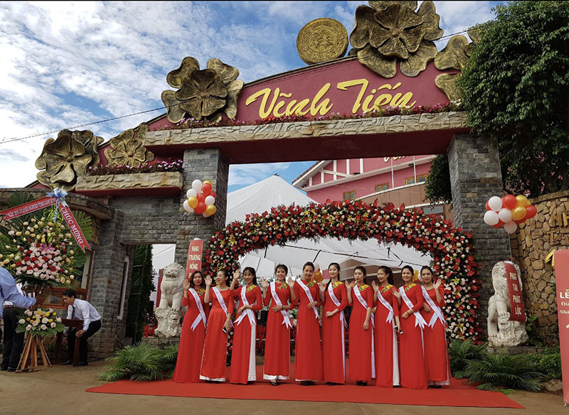 Odoo - Sample 1 for three columns