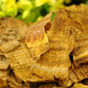 Odoo - Sample 1 for three columns