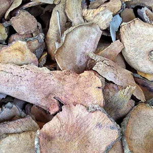 Odoo - Sample 1 for three columns