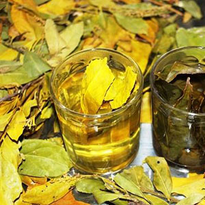 Odoo - Sample 1 for three columns