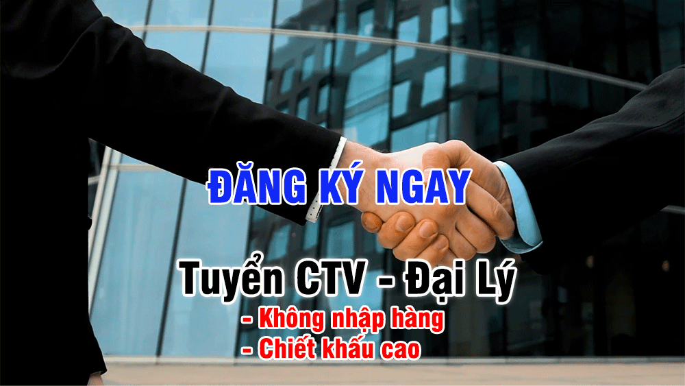 Odoo CMS - a big picture