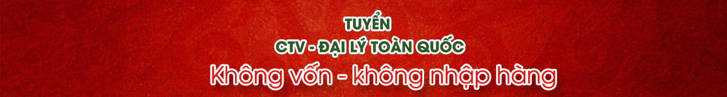 Odoo CMS - a big picture