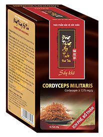 Đông Trùng Hạ Thảo sấy khô hộp 10gr