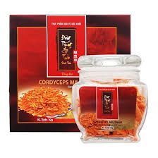 Đông Trùng Hạ Thảo đông khô hộp 10gr