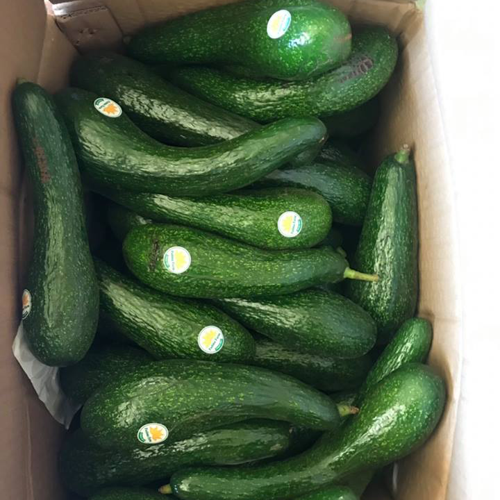 Bơ loại 2 (4-5 trái)